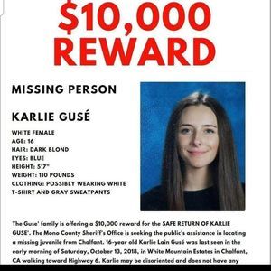 Meet your Posher, Dixie